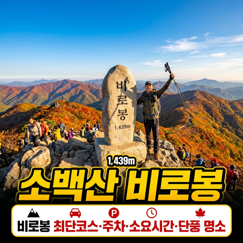 소백산 등산코스｜비로봉 최단코스·주차·소요시간·단풍 명소 총정리