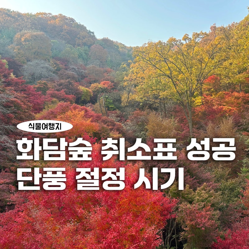 화담숲 취소표 성공 후기 단풍 절정 시기 예약 팁 총정리