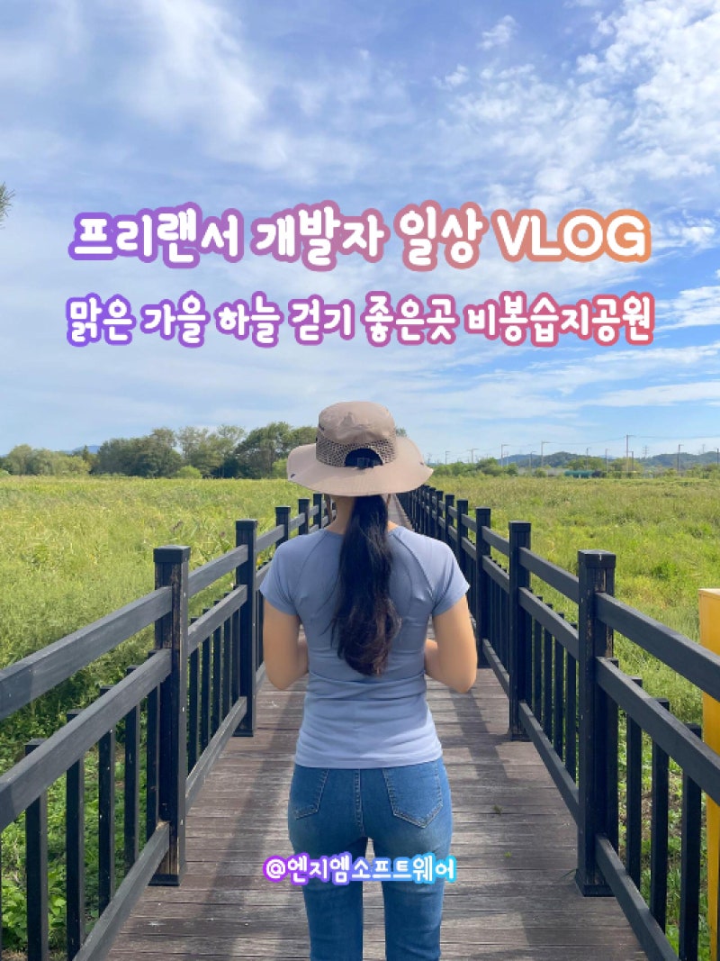 가을 분위기 느끼기 좋은 화성 비봉습지공원 트레킹