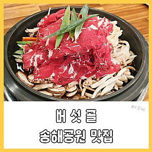 대구 현풍 테크노 맛집 버섯전골 맛있는 송해공원 근처 식당 버섯골