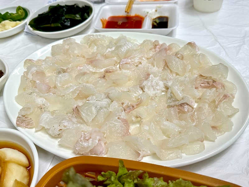 강원 속초 여행맛집 롯데리조트 외옹치항 활어회 금성호횟집