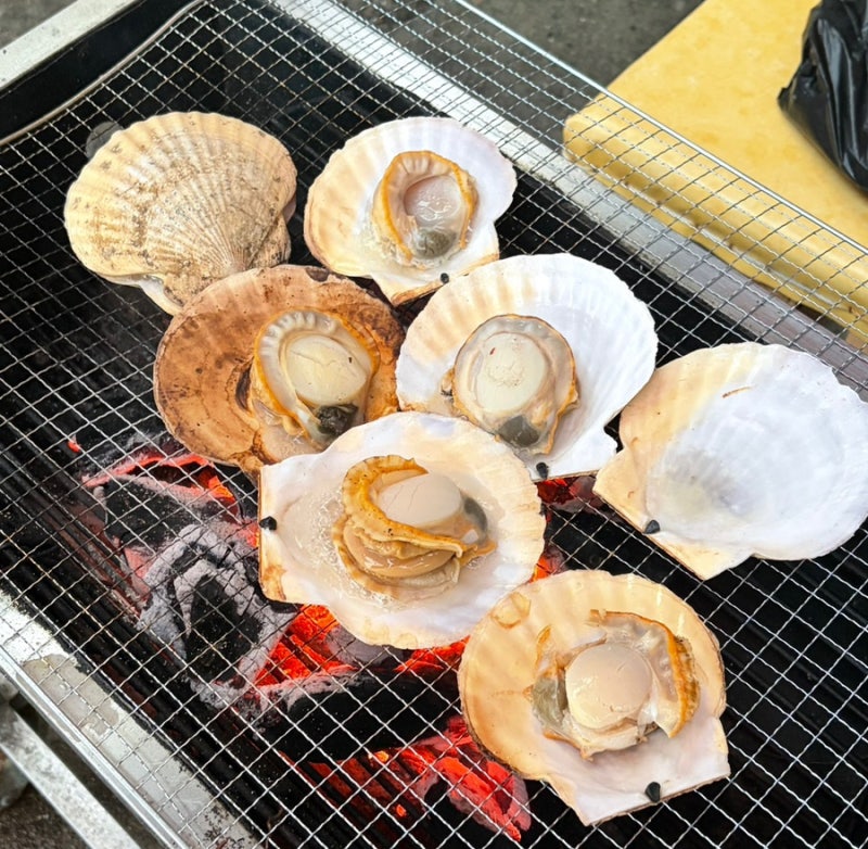 [포항] 죽도시장, 고래고기 전복 가리비 전어회가성비 포장 맛집 만선횟집, 천석수산, 할매고....