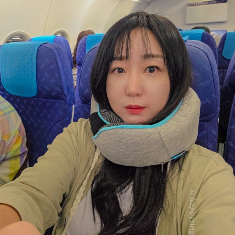 해외여행 필수품 준비물 비행기 기내용 목베개