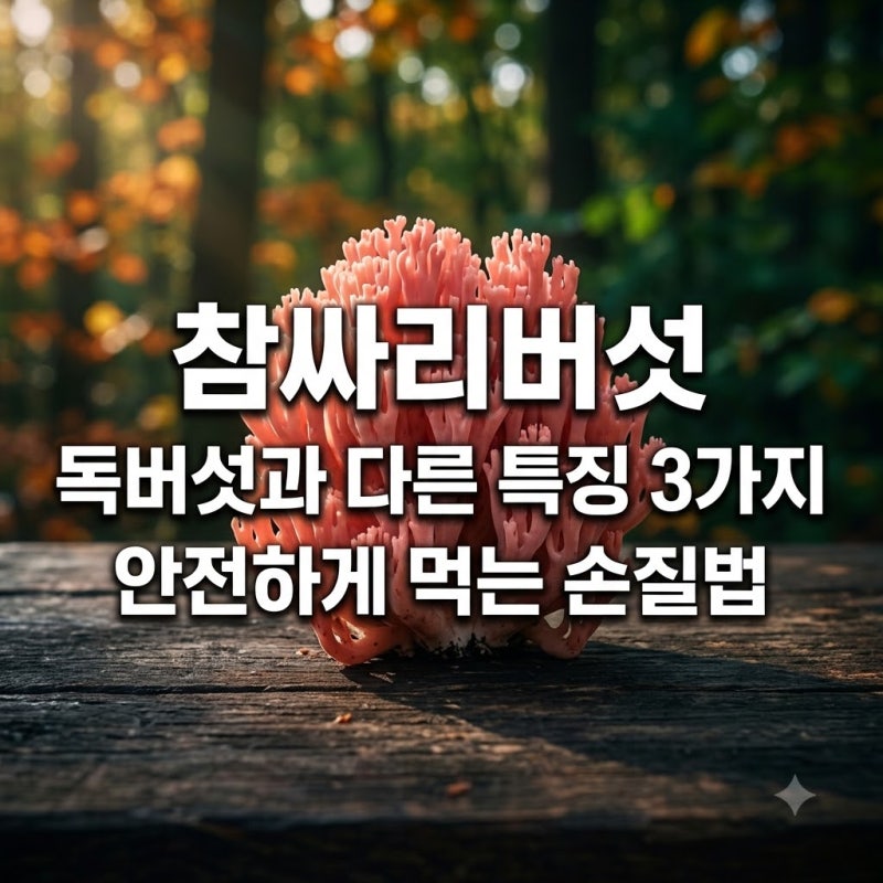 참싸리버섯 독버섯과 다른 특징 3가지와 안전하게 먹는 손질법