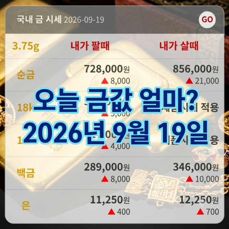 오늘 금값 얼마? 9월 19일 순금·18K·14K 금시세 총정리