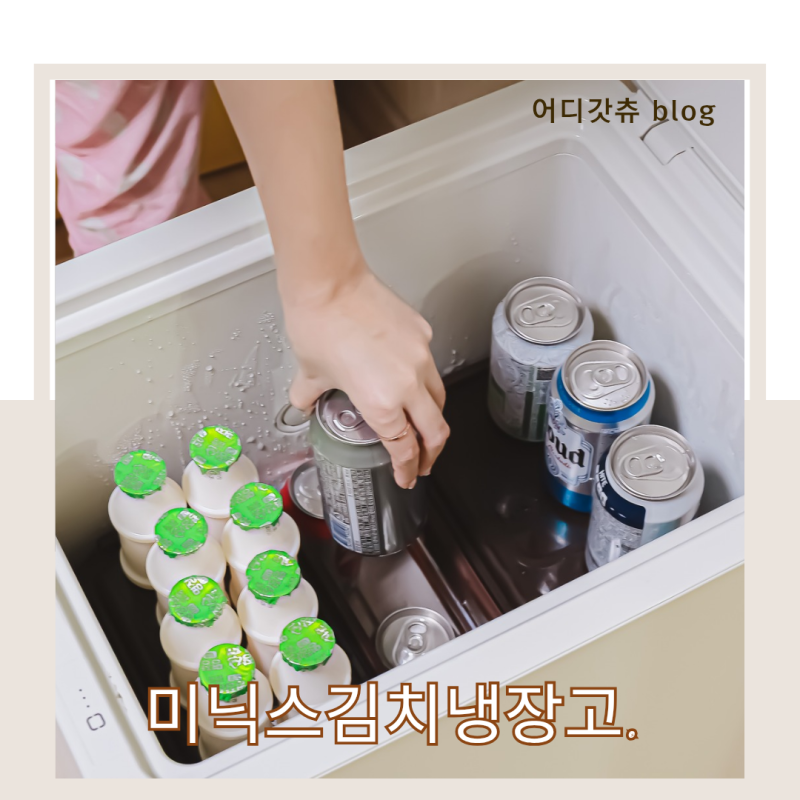 미니 김치냉장고 추천 소형 냉장고 미닉스 더 시프트 후기