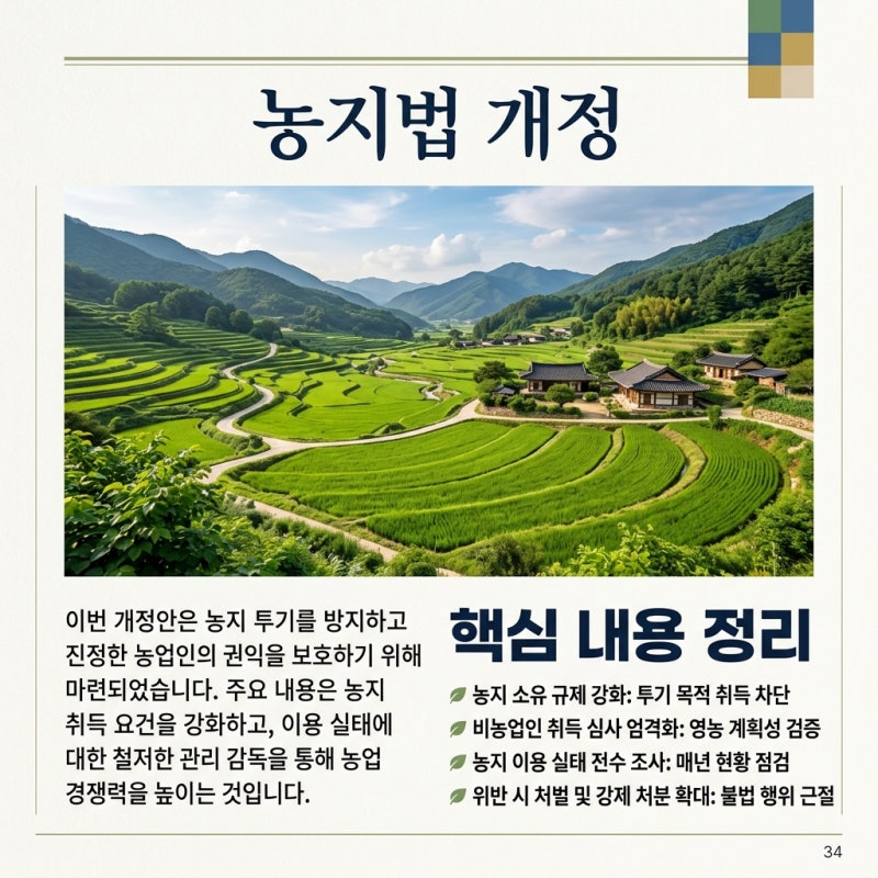 2026년 농지법 개정 핵심 총정리, 처분 의무와 유예 대책