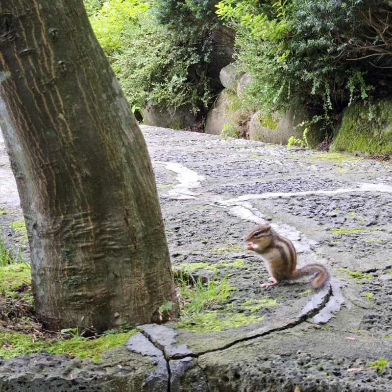 오대산 비로봉 최단코스 주차장 난이도
