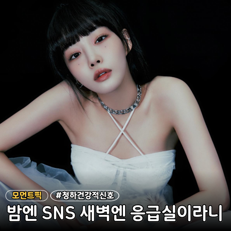 "밤엔 SNS, 새벽엔 응급실" 몇 시간 사이 무슨 일이? 청하 프로필 나이 키 학력 대표곡 총정리