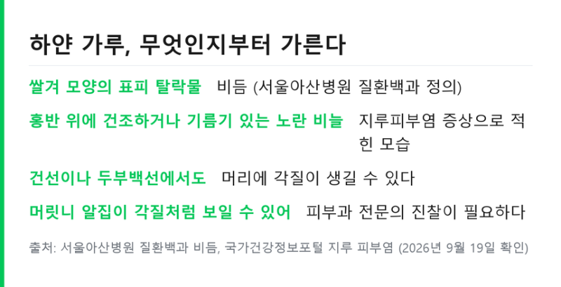 두피스케일링 주기 정리 .. 비듬 원인과 지루피부염 구분 기준