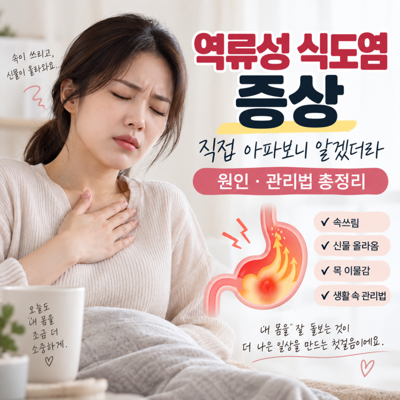 역류성 식도염 증상, 직접 아파보니 알겠더라 I 원인 ·관리법 총정리