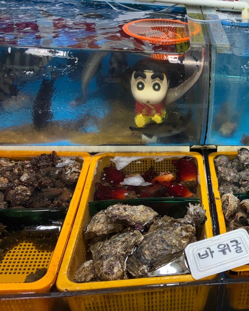 [여수 회포장맛집] 여수 수산물특화시장 회 포장 추천 짱구횟집 +온누리상품권 환급안내