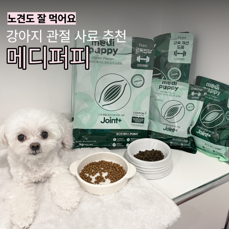 10살 노견 강아지 관절사료 추천 메디퍼피 직접 먹인 종류별 제형 비교