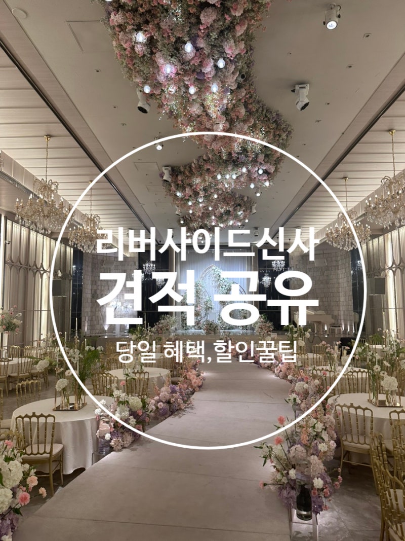 서울 리버사이드호텔 신사 노벨라홀 27년 견적 공유 (당일계약 할인 꿀팁, 발렛 뷔페 가성비....