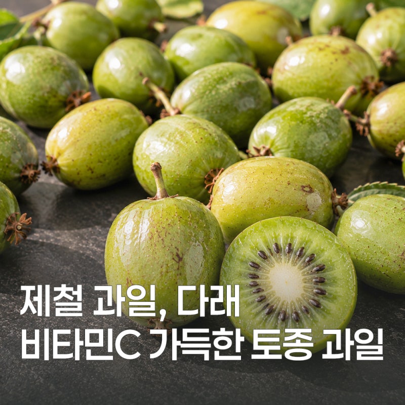 키위의 원조, 다래 효능부터 손질법까지