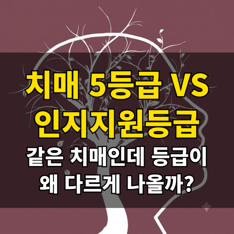 치매 5등급과 인지지원등급, 공통점과 차이점, 기준,혜택,신청방법