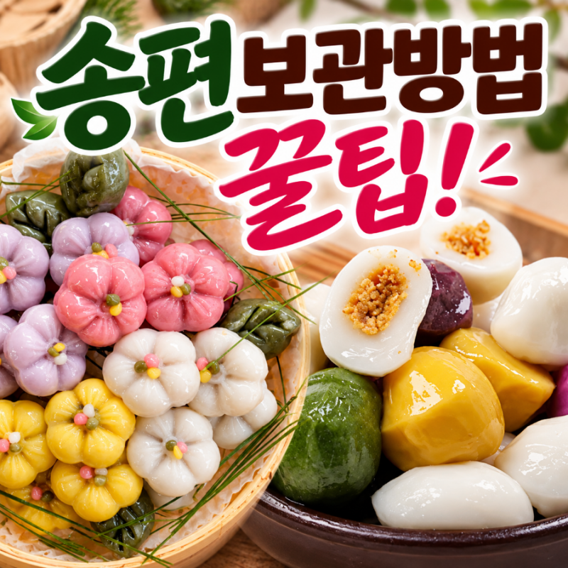 송편보관방법 꿀팁｜요즘 인기 송편부터 통밤송편까지, 냉장·냉동 보관법