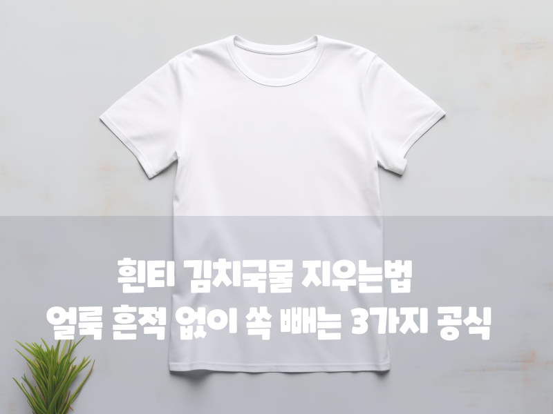 흰티 김치국물 지우는법 얼룩 흔적 없이 쏙 빼는 3가지 공식