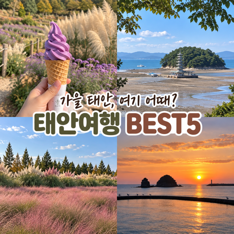 태안 가볼만한곳 BEST5 청산수목원 포함 당일치기 여행코스