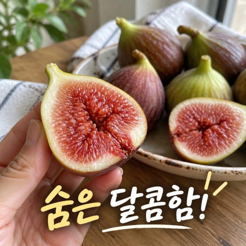과일부티크 청무화과 영암 당일수확 산지직송 제철과일 달콤한 매력 분석 (+할인 까지)