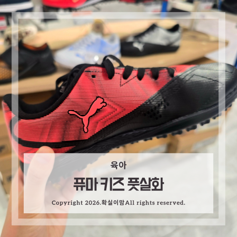 키즈 풋살화 초등 남아 운동화 퓨마 래피드 티티 JR
