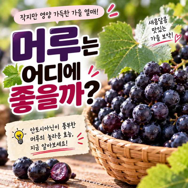 머루는 어디에 좋을까? 효능·영양성분·제철·먹는 법·요리법까지