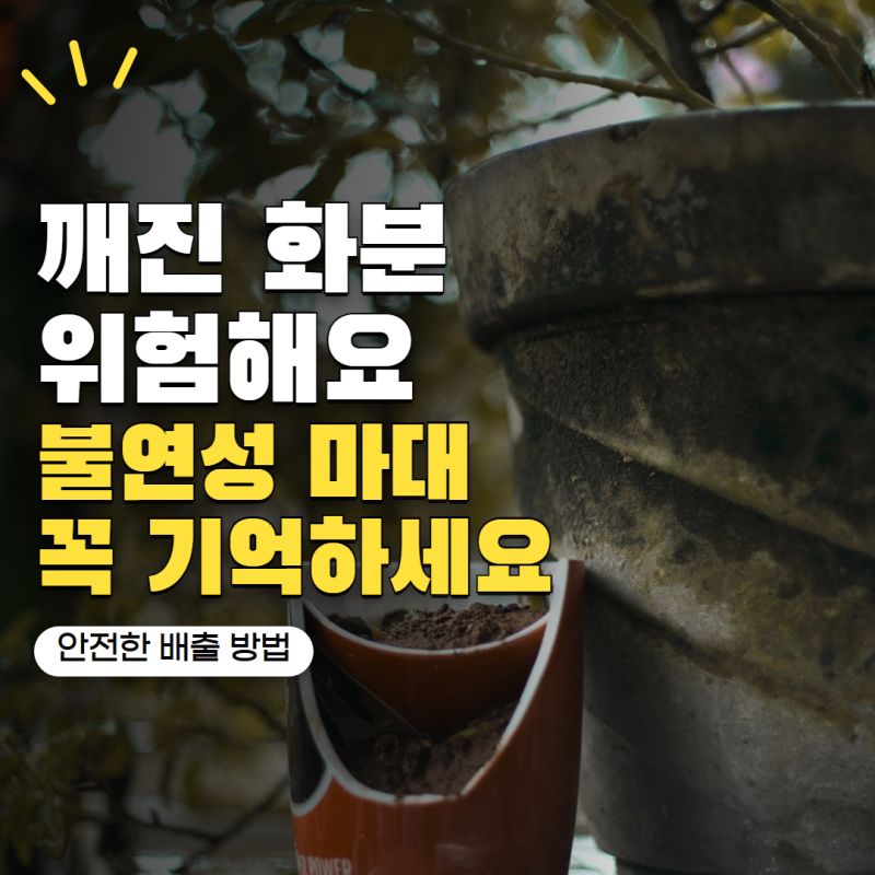 '깨진 화분 그대로 버리면 안 됩니다' 도자기 화분 안전하게 버리는 방법