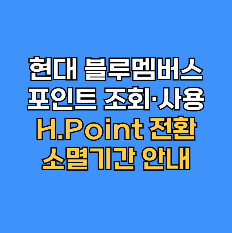 현대 블루멤버스 포인트 조회·사용｜H.Point 전환·소멸기간 안내