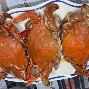 롯데마트 꽃게, 꽃게찜 꽃게 세척 손질, 꽃게 내장 색깔 먹장게 원인