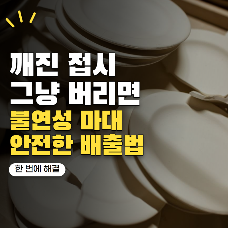 '깨진 접시 그냥 종량제에 넣었다간 위험합니다' 도자기 안전하게 버리는 법