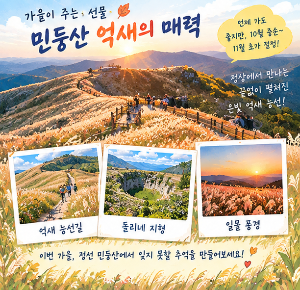 민둥산 억새축제 2026｜정선 가을여행 일정·주차·등산코스 총정리