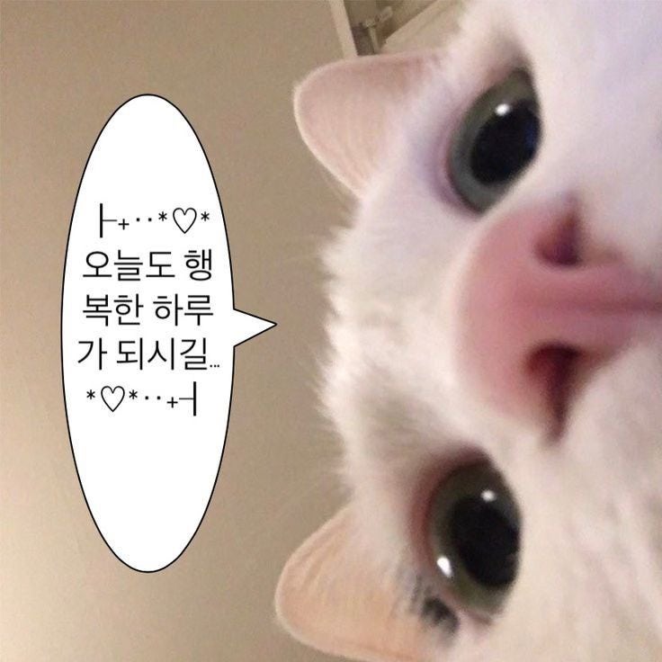 [취준일기] 컴활 1급 필기, 일주일 만에 합격!(with 컴활의 정석!)