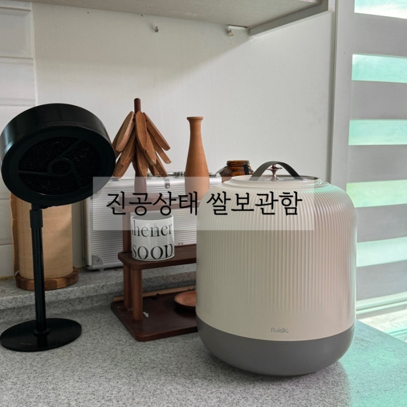 쌀 벌레 걱정없는 진공쌀통 주방활용템 플루딕 쌀통 10kg