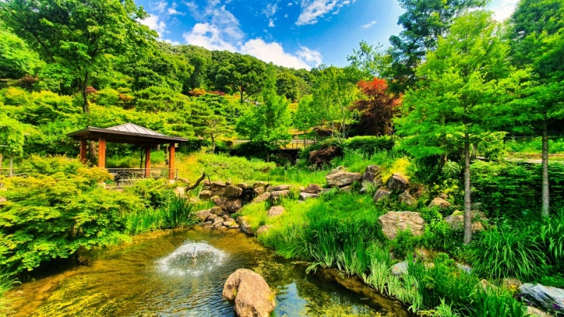 꾸준히 나오는 화담숲 입장권 취소표 잡는 법, 딱 이 시간에 새로고침하세요