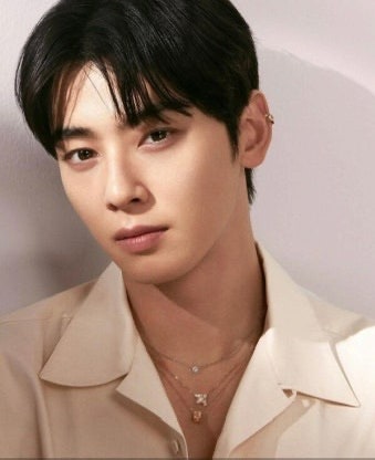 차은우 도청 사건, 카페 테이블 밑에 장치 설치한 50대 여성 왜 그랬나