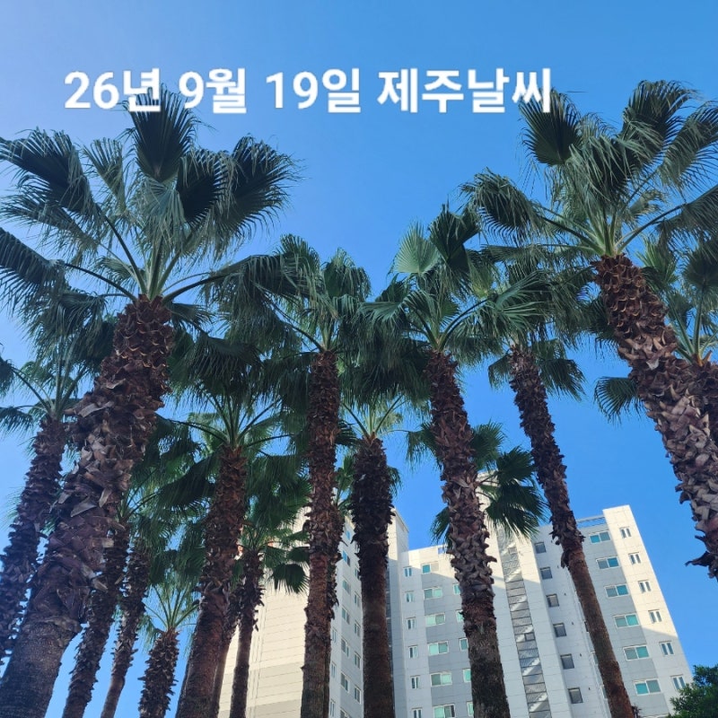 9월 19일 제주도 날씨 서귀포 실시간 옷차림 맑고 쾌청한 주말 한라산 예보