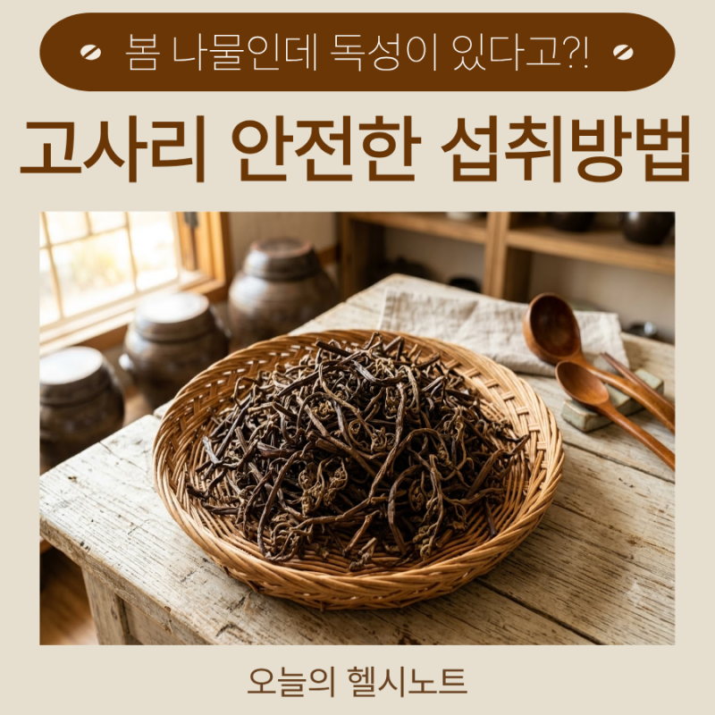 고사리 반찬 자주 먹는다면… 조리 전에 꼭 알아둘 "독성 성분"