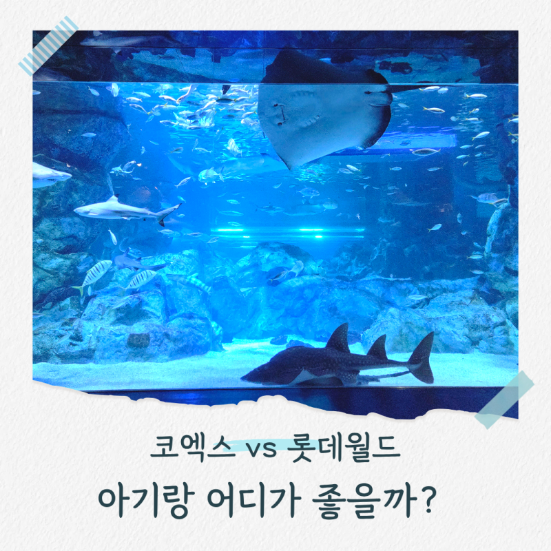 코엑스 아쿠아리움 vs 롯데월드 아쿠아리움 15개월·16개월 아기랑 직접 가본 비교 후기