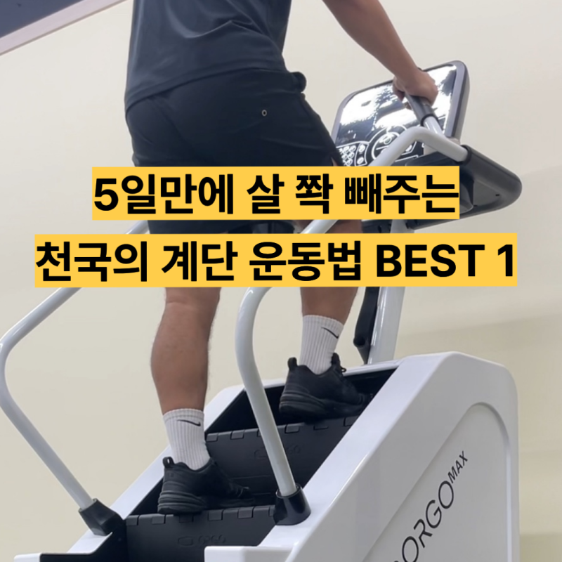 단기간에 살 빼는 천국의 계단 운동법 BEST 1