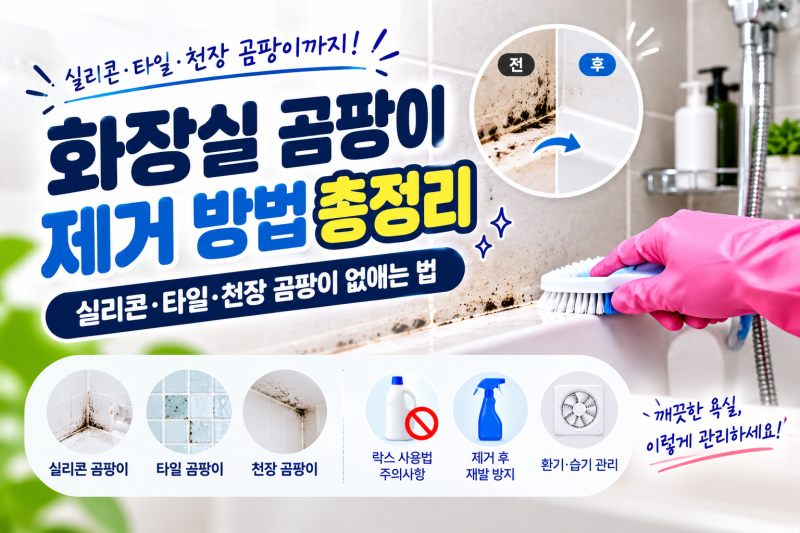화장실 곰팡이 제거 방법 총정리｜실리콘·타일·천장 곰팡이 없애는 방법