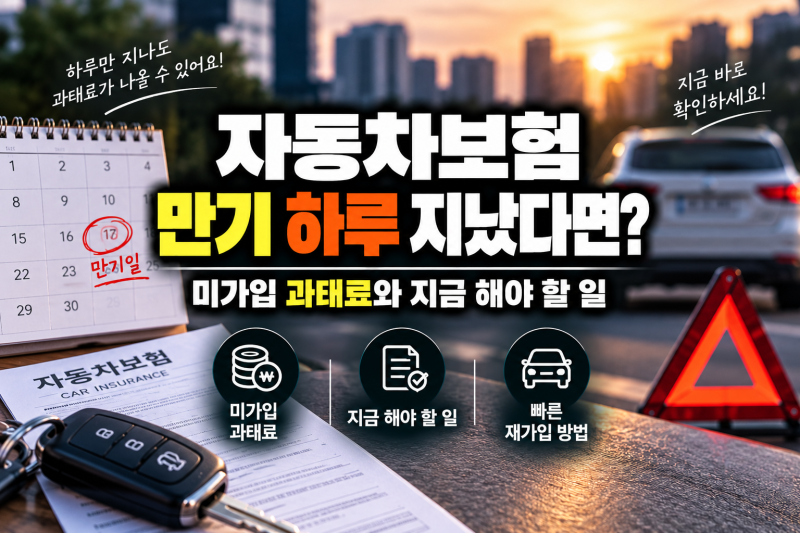 자동차보험 만기 하루 지났다면? 미가입 과태료와 지금 해야 할 일