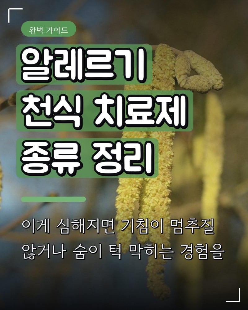 알레르기 천식 치료제 종류 정리