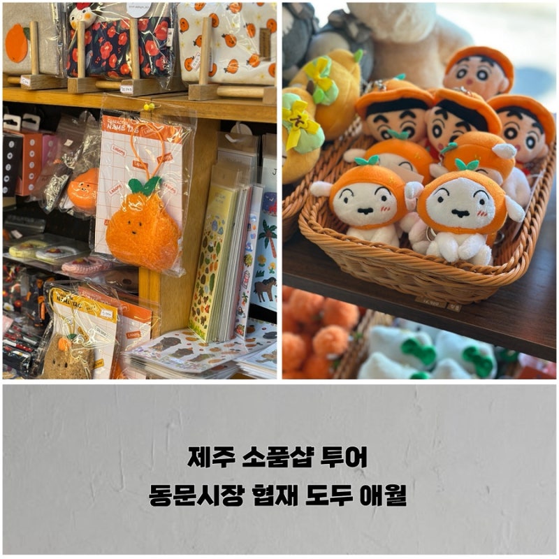 제주 동문시장 협재 도두 애월 소품샵 추천, 플라네하우스 귤귤스토어 섬물 라귤 등 10곳 모....