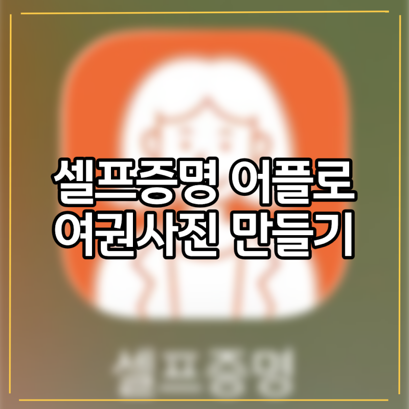 아기 여권사진 셀프로 만들어본 후기ㅣ셀프증명 어플로 집에서 편하게 만들기