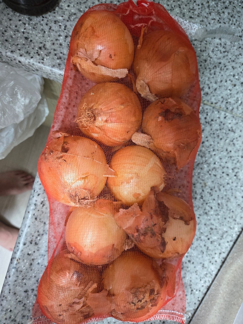 강원도 고랭지 햇양파 5kg, 가정에서 양파를 넉넉하게 활용하는 방법