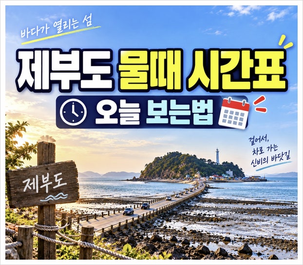 제부도 물때 시간표 보는법, 오늘 바닷길 몇 시에 열릴까?
