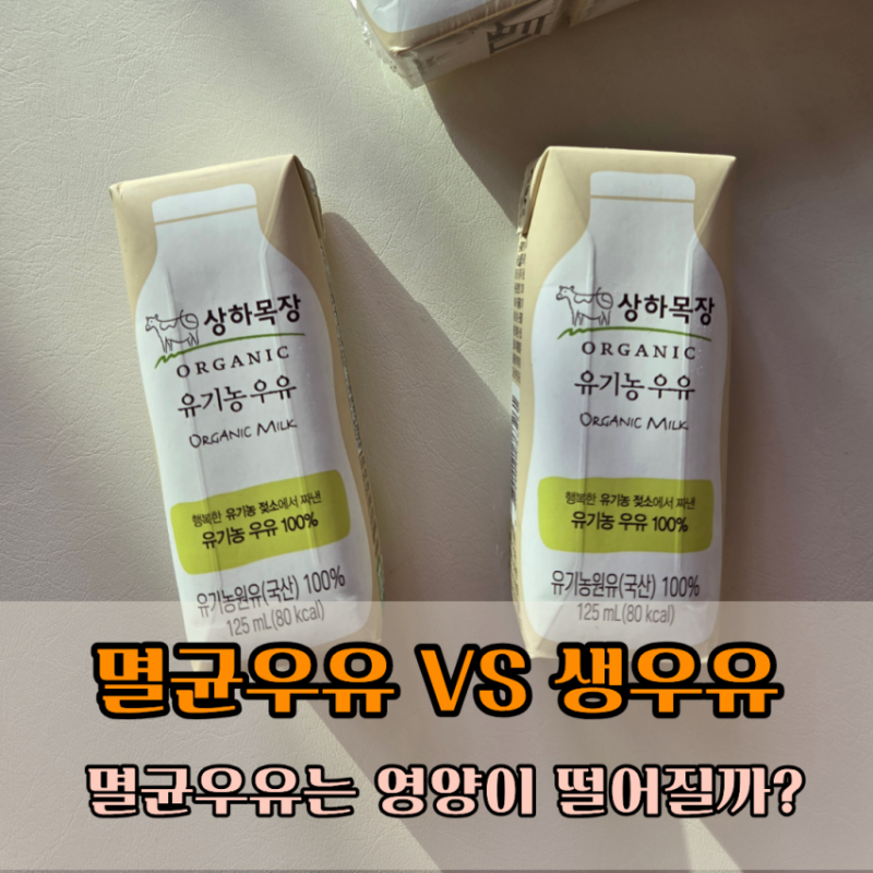 멸균우유 VS 생우유 차이, 돌아기 어떤 우유 먹여야 할까?