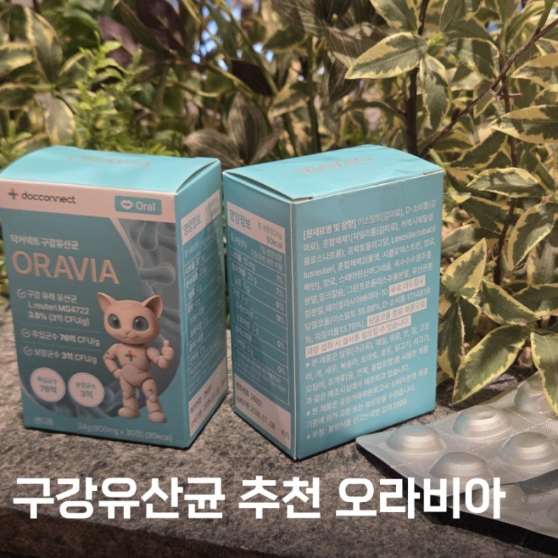 구강유산균 추천 오라비아 솔직후기 아침 입속 관리 위한 구강 케어 습관