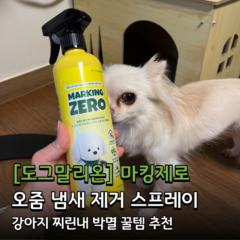 강아지 오줌 냄새 제거제 추천 : 무향 탈취제 도그말리온 마킹제로 솔직 후기