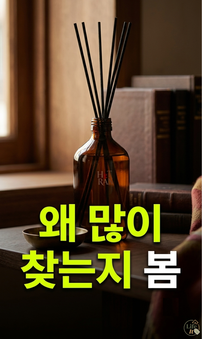 헤트라스 프리미엄 대용량 디퓨저 500ml 호텔우드 직접 써본 거실 발향 후기